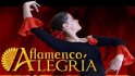 Flamenco Alegria
