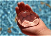 Национален конкурс за фотография Водата - извор на живот
