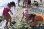 Морски пленер от Марина спорт - снимка 4 - летни - София