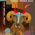 Международен фестивал на маскарадните игри Сурва 2014