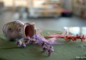 Артистични занимания през пролетната ваканция в Atelier de l Art