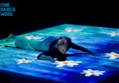 Танцова компания TPO представя Японска градина