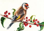 ANIMALIA – акварел и бронз за малки и големи