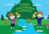 Концерт на възглавници в планината