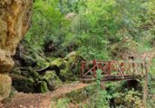 Неделна детска програма с Централен младежки клуб на скаутите в България