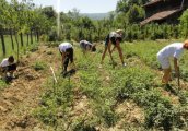 Детски лагер Приеми ме на село ще се проведе в селата Поповци Стоевци и Новаковци