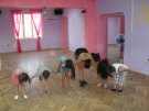 Alma Latina Dance Academy - снимка 1 - състезателни и латино- американ - Варна